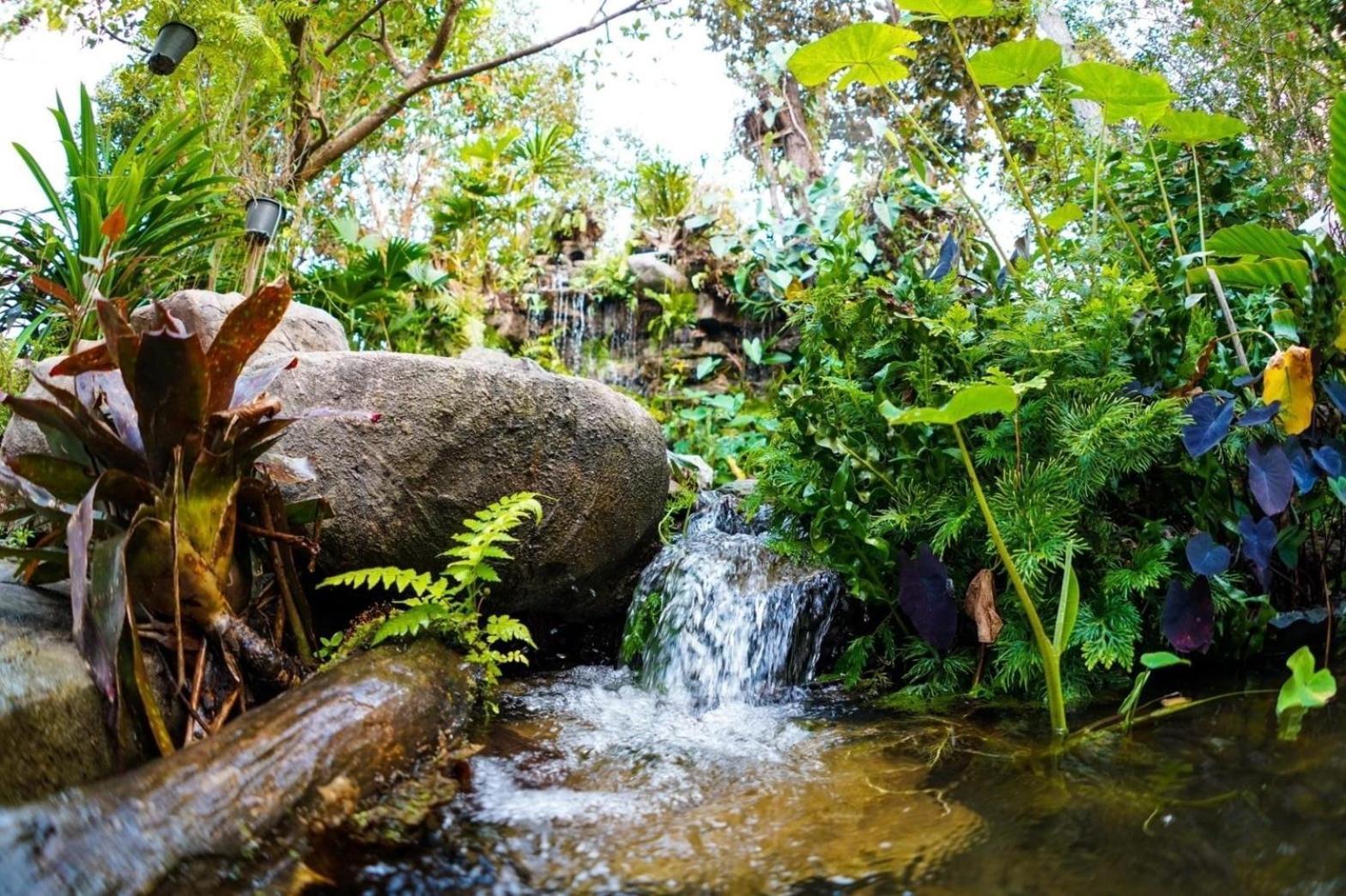 Baan Pingkan Wellness Resort سان كامبينغْ المظهر الخارجي الصورة